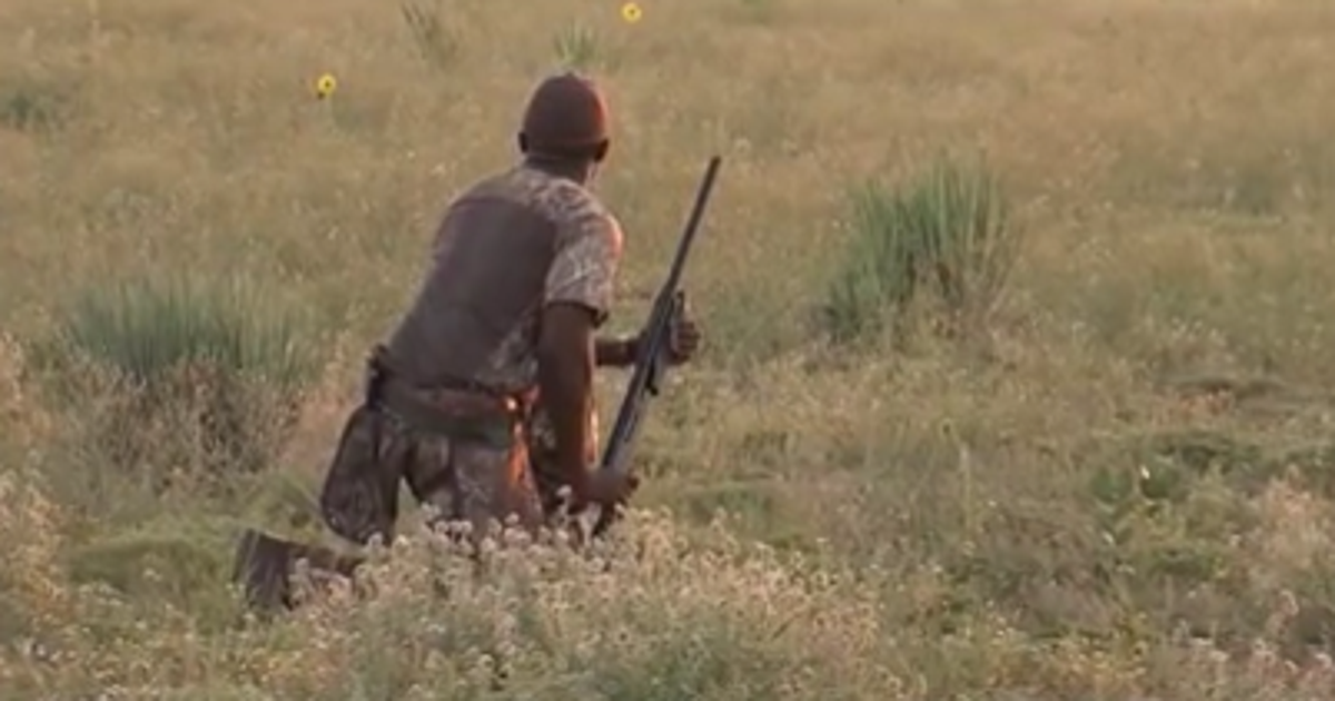 Austin R. Dove Texas dove population up, promising good season for hunters | FOX 7 Austin
