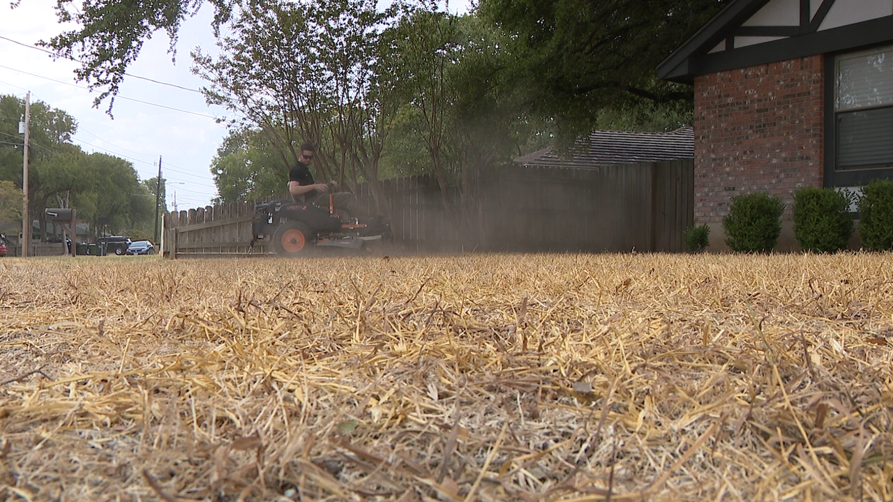 Central Texas lawn care companies struggle during extreme heat Central Texas lawn care companies struggle during extreme heat