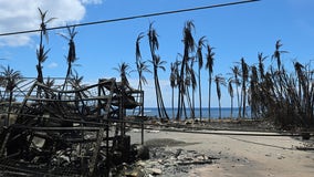 FOX, American Red Cross team up to support victims of Hawaii wildfires