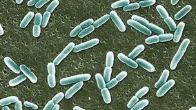 4 University of Arkansas students hospitalized after E. coli outbreak