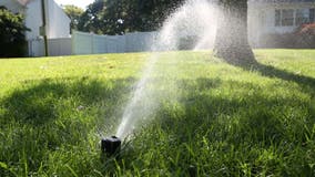 Johnson City's 'Ugliest Lawn Contest' offers incentive to conserve water