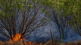 Ongoing flash drought increases wildfire concerns in Texas