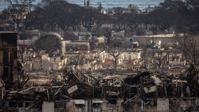 Hawaii officials work to identify 99 confirmed dead after Maui wildfires as teams search ruins