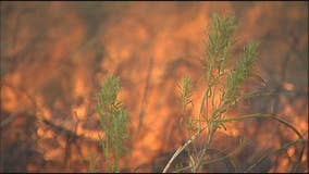 Grass fire near Fredericksburg burns 75 acres