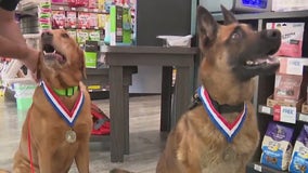 Nonprofit helps serve military dogs and their families