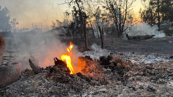 Powder Keg Pine Fire: 117-acre fire in Bastrop County fully contained