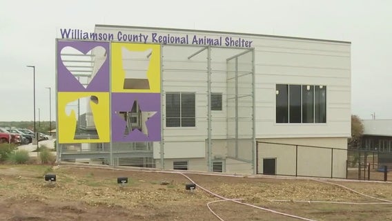 Georgetown joins Williamson County animal shelter partnership