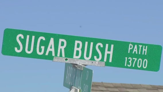 Group of dogs bite multiple people in Arbor Hill Cove area, ATCEMS says