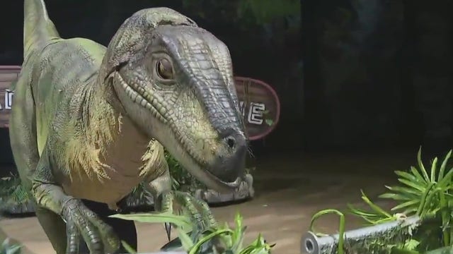 Things to do in Austin this weekend: August 18 to 20