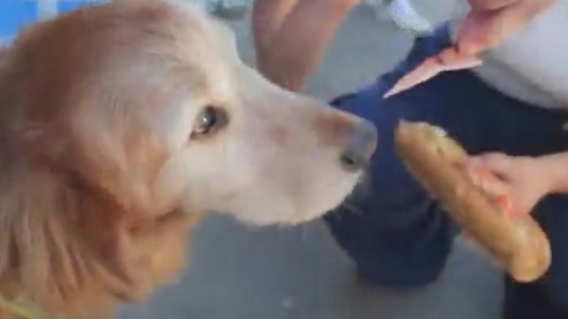 Viral video helps Austin sandwich shop get more business