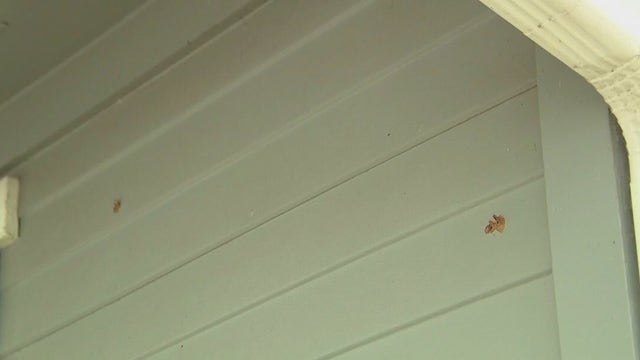 String of shootings leaves Northeast Austin neighborhood fed up