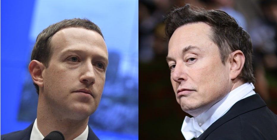 Elon Musk gives update on cage fight with Mark Zuckerberg: 'Epic location'