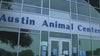 Austin Animal Center to temporarily close intakes due to 'critical capacity issues'