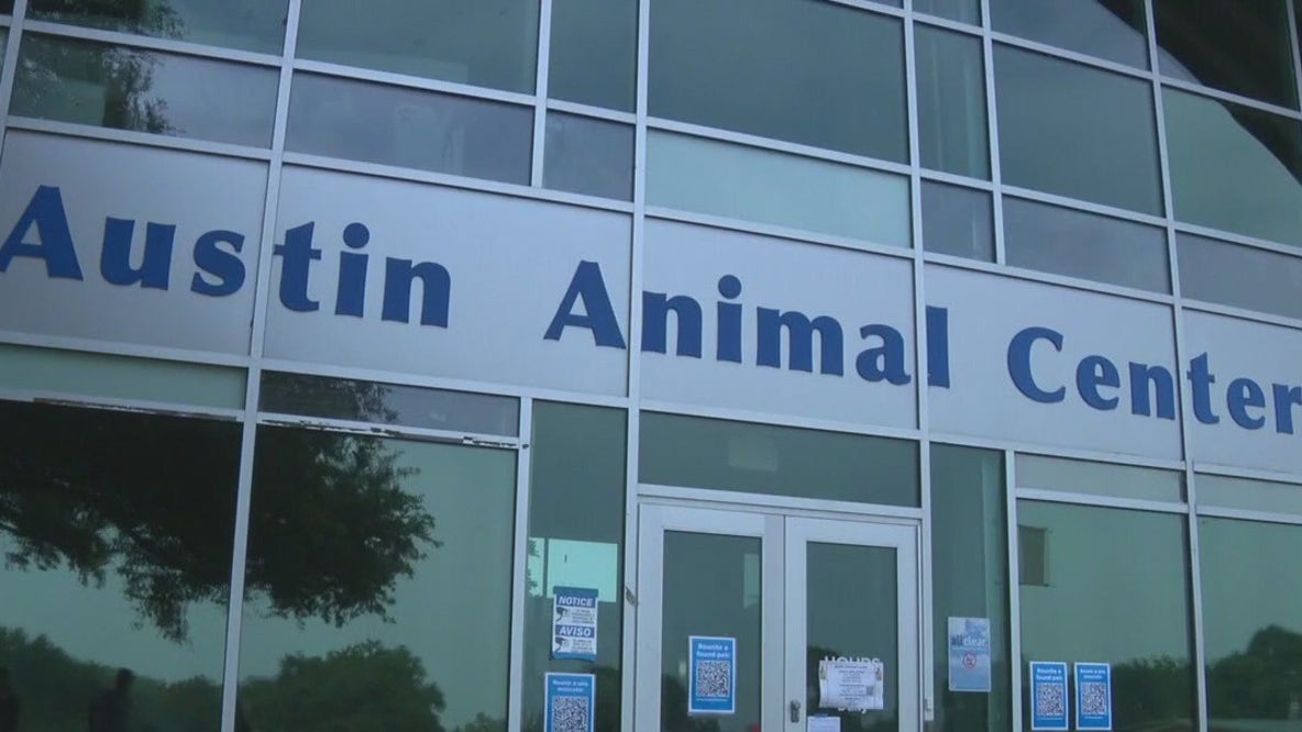 Austin Animal Services goes 10 days without AC; temporary measures in place