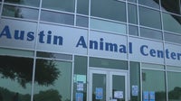 Austin Animal Services goes 10 days without AC; temporary measures in place