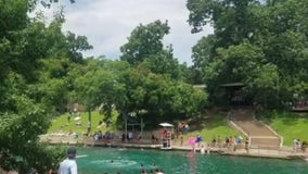 Ceremony, removal of iconic Barton Springs leaning pecan tree delayed: PARD