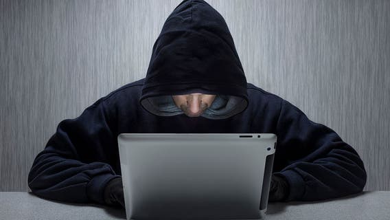 Teens falling for online scams at higher rate than seniors: study