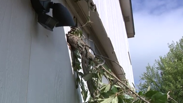 Cedar Park residents clean up damage after Thursday morning storms