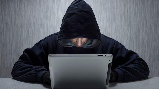 Teens falling for online scams at higher rate than seniors: study