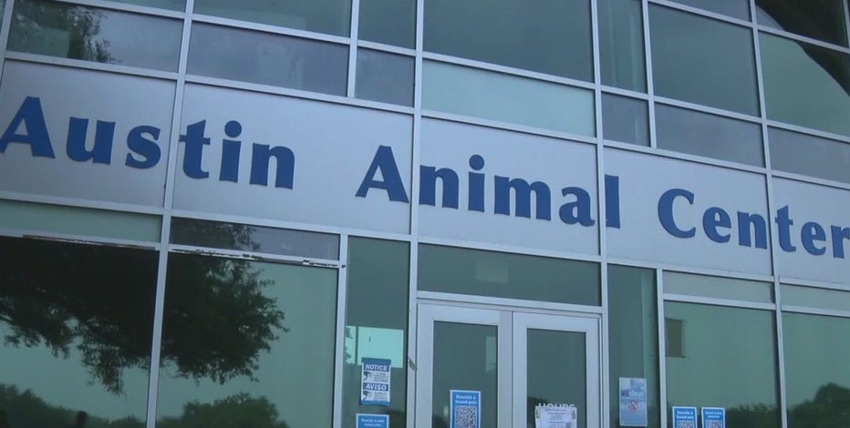 'Abhorrent, sickening': City Council reacts to Austin Animal Center audit