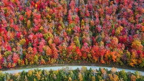 Fall foliage tracker: Discover maps and where the most brilliant colors are right now