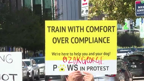 Controversial dog trainer creates protest in east Austin