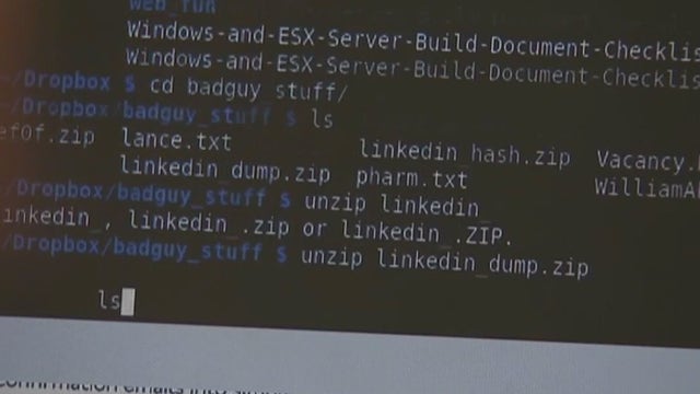 Cyber attacks on the rise: How you can protect yourself