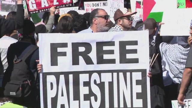 Israel-Hamas war: Hundreds gather at Texas Capitol to rally for Palestine