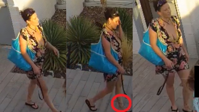 Woman uses child as decoy to steal purse at North Austin apartment complex