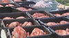 Operation Turkey: 700 birds prepped for Thanksgiving meal delivery