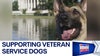 Organization helps veterans with service dog costs