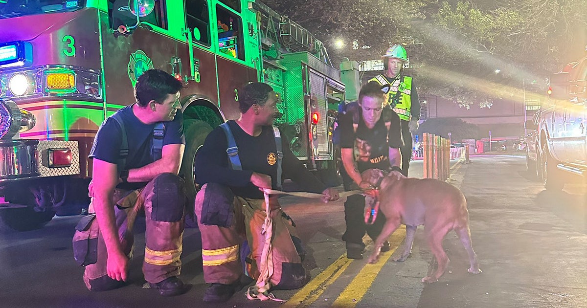Dog rescued, reunited with owner after fire on Guadalupe | FOX 7 Austin