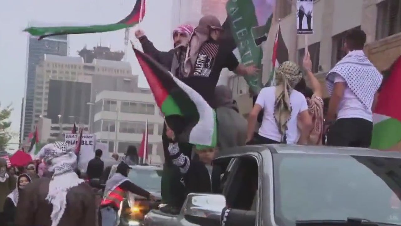 上千名巴勒斯坦支持者在国会大厦和市中心集会