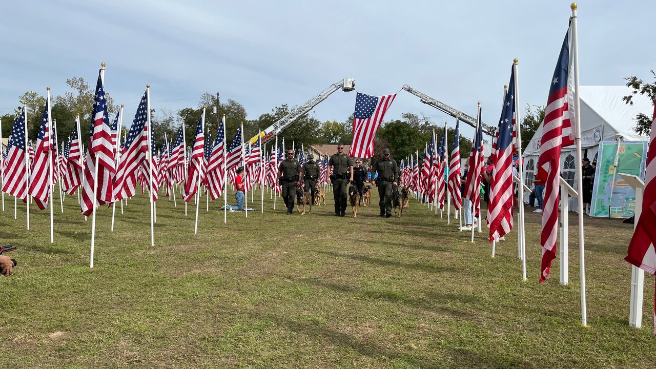 Biden arlington cemetery veterans day 2024