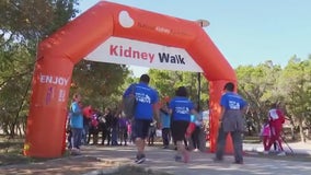 Annual Austin Kidney Walk returns to northeast Austin