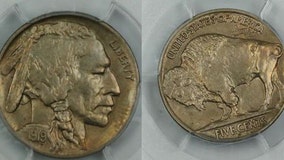 These nickels might have a value over 5 cents, particularly if this animal appears on it