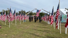 Veterans Day: Georgetown Field of Honor kicks off commemorations