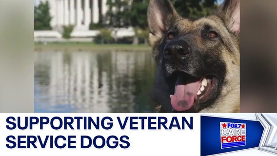 Organization helps veterans with service dog costs