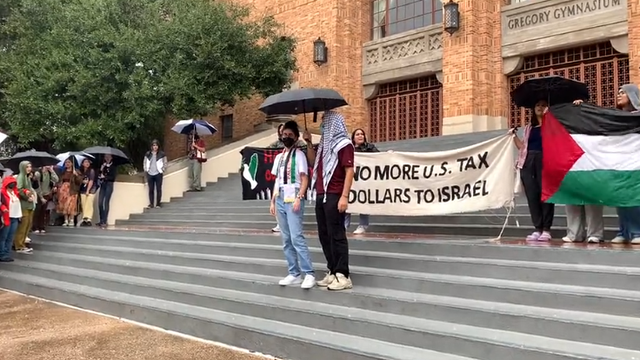 Hundreds of UT students walk out of class to support Palestine