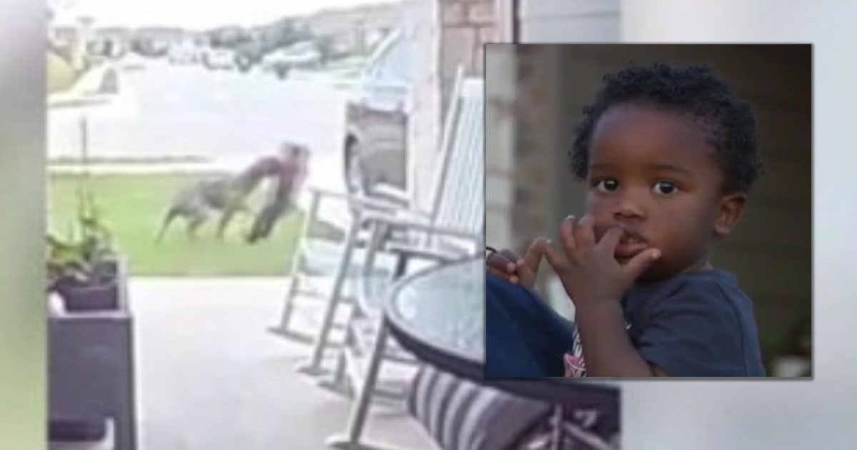 Two-year-old boy recovering after dog attack in Travis County | FOX 7 ...