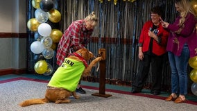 Tears flow as North Carolina therapy dog celebrates end of cancer treatment by ringing bell