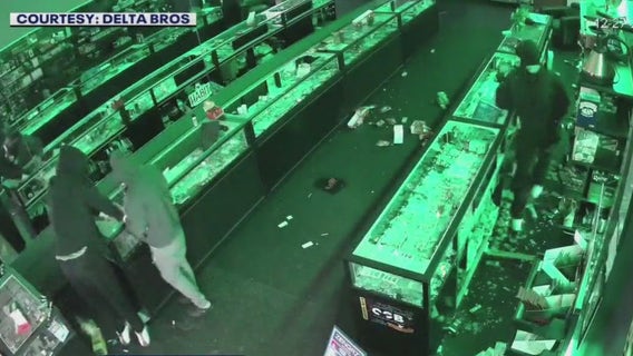 Caught on camera: Suspects burglarize Manor cannabinoid store