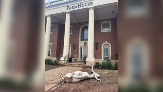 UT fans react to dead longhorn found at OSU frat house