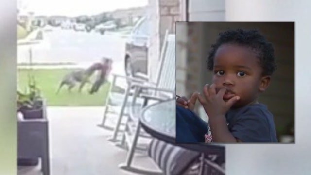 Two-year-old boy recovering after dog attack in Travis County