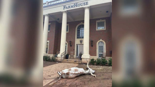 UT fans react to dead longhorn found at OSU frat house