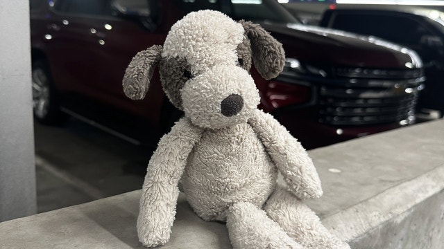 Austin airport reunites stuffed puppy with his toddler owner
