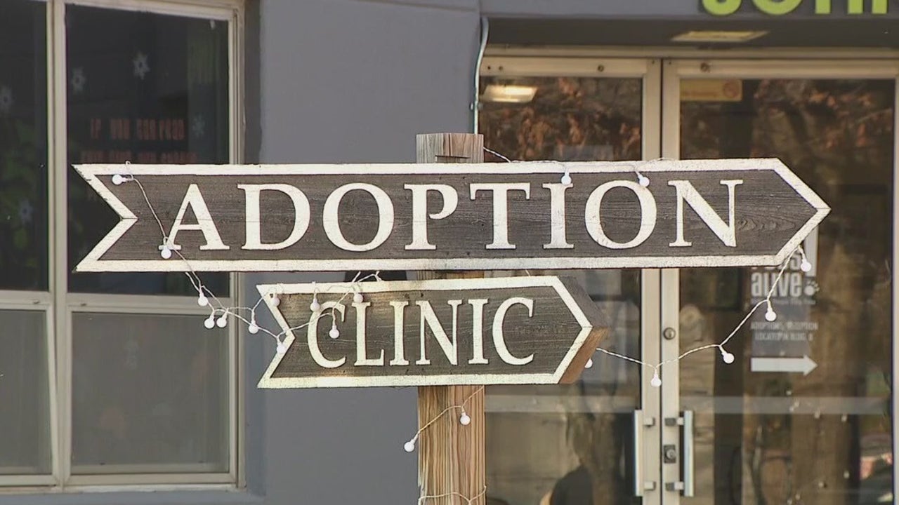Organizations Mobilize to Protect Pets in Winter