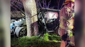 Car strikes tree in NW Austin; 2 people hospitalized