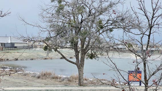 PHOTOS: Winter weather, Arctic blast hits Central Texas