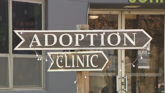 Austin weather: Austin Pets Alive! asks for community's help during winter weather